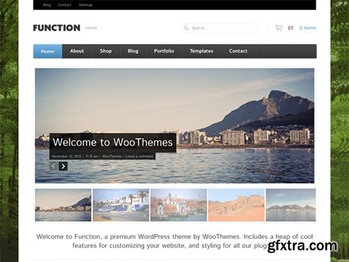 WooThemes - Function v1.4.12 - WordPress Theme