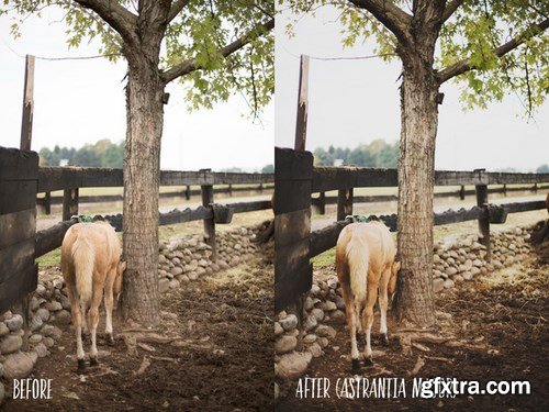 CM - PHOTOSHOP actions set