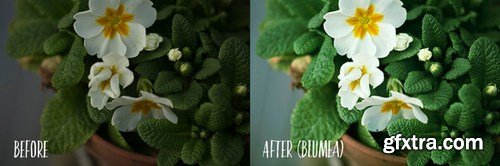 CM - PHOTOSHOP actions set