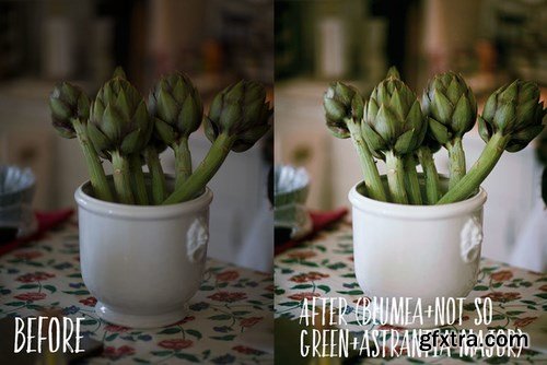 CM - PHOTOSHOP actions set