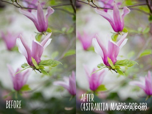 CM - PHOTOSHOP actions set