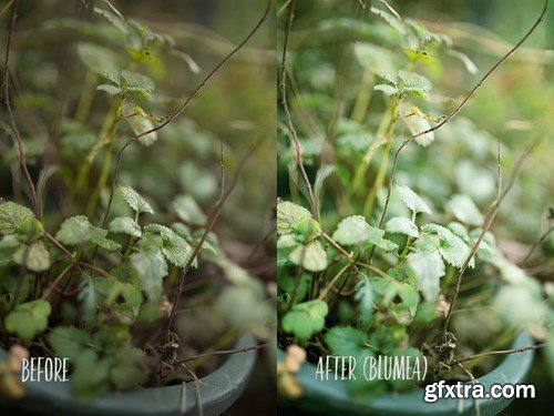 CM - PHOTOSHOP actions set