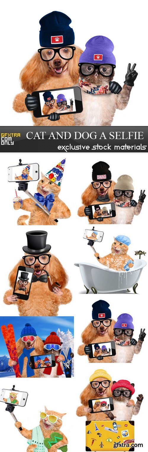 Cat and Dog a Selfie = 8 UHQ JPEG