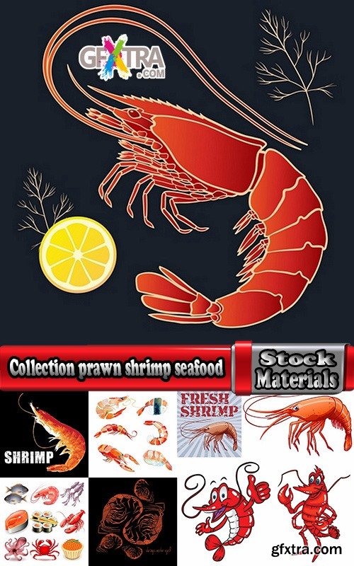 Collection Prawn Shrimp Seafood Menu Vector Image 25xEPS Collection Prawn Shrimp Seafood Menu Vector Image 25xEPS