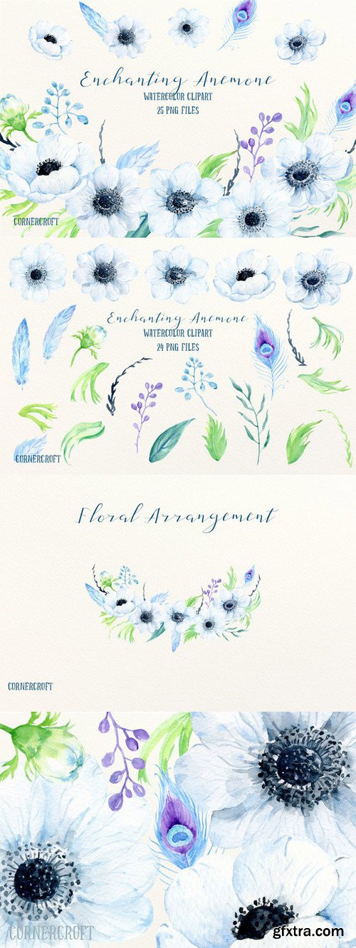 CM - Watercolor Enchanting Anemone 693450
