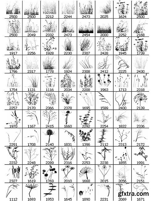 Ron's Weeds Photoshop Brushes Ron's Weeds Photoshop Brushes