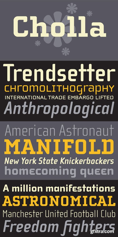 Cholla Font Family $379