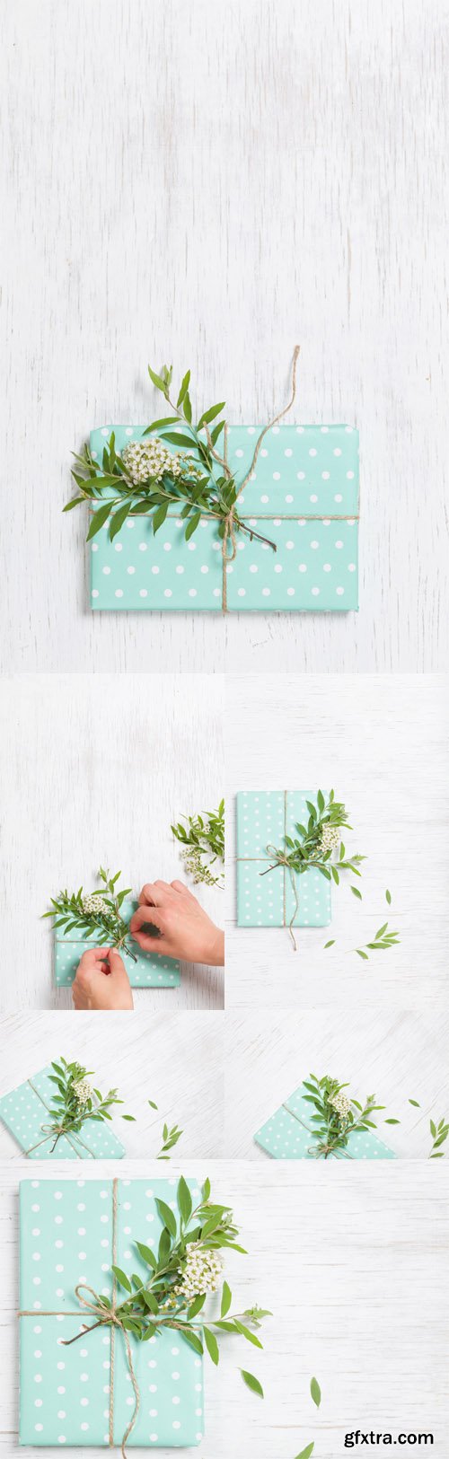 Photo Stock - Top View on Decorated Birthday Gift with Garden Tree Branch and Flowers