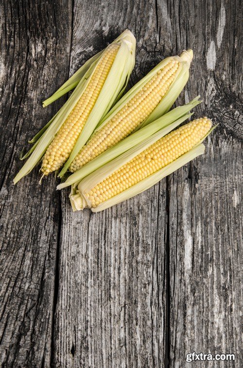 Corn-8xUHQ JPEG