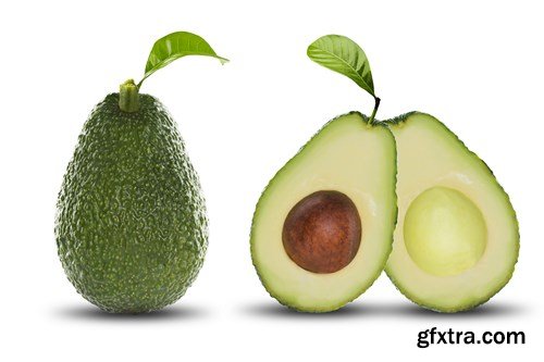 Avocado - 28xUHQ JPEG Avocado - 28xUHQ JPEG