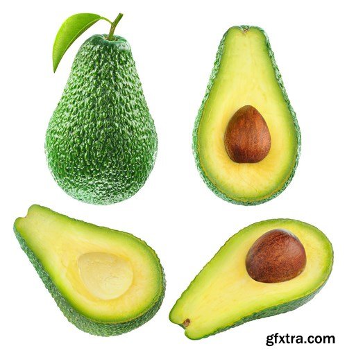 Avocado - 28xUHQ JPEG Avocado - 28xUHQ JPEG