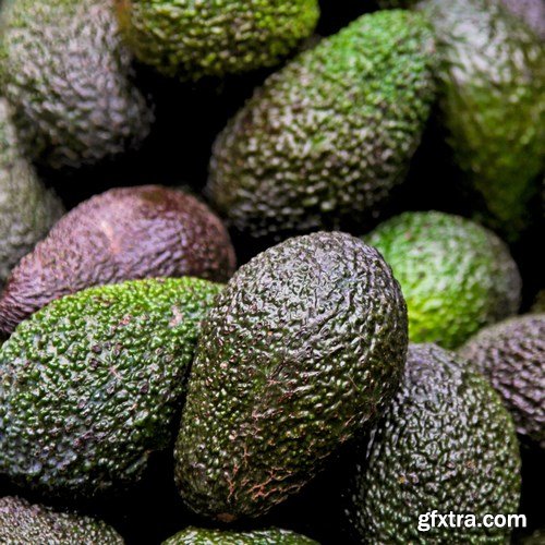 Avocado - 28xUHQ JPEG Avocado - 28xUHQ JPEG