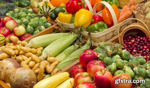 Collection of the harvest still life fruit vegetables agriculture farming 25 HQ Jpeg