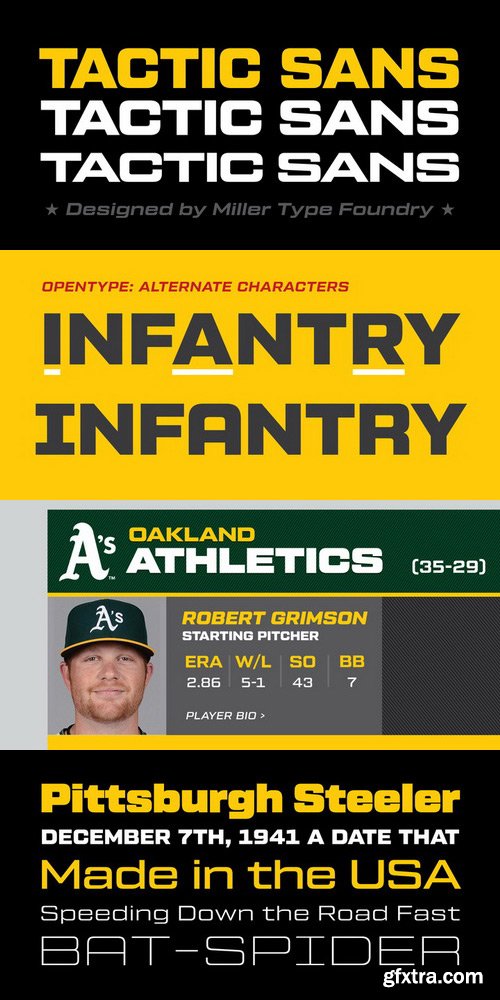 Tactic Sans Font Family $349