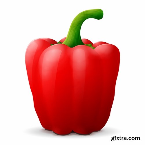 Collection of bell pepper paprika vegetable 25 EPS
