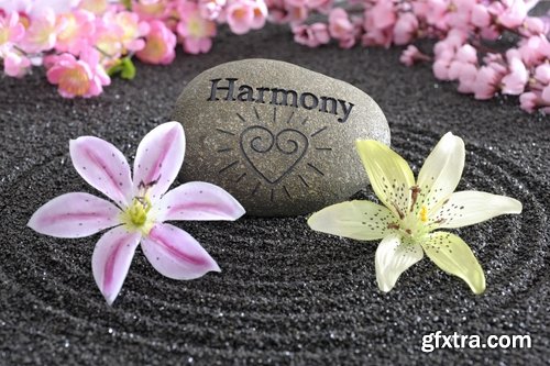 Conceptual illustration the harmony relaxation meditation nature relaxation freedom 25 HQ Jpeg