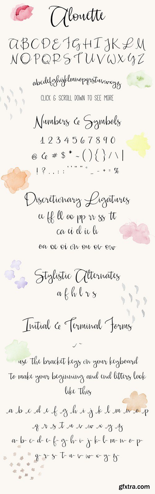 CM - Alouette Modern Calligraphy Font 697983