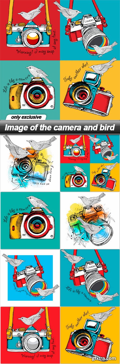 Image of the camera and bird - 8 EPS
