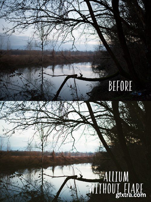 CM - Allium PHOTOSHOP action 703232