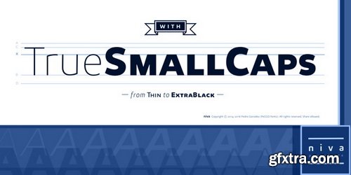 Niva Font Family $1044