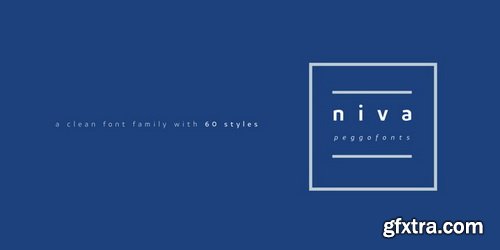 Niva Font Family $1044