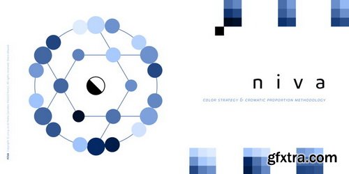 Niva Font Family $1044