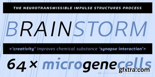 Niva Font Family $1044