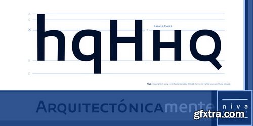 Niva Font Family $1044