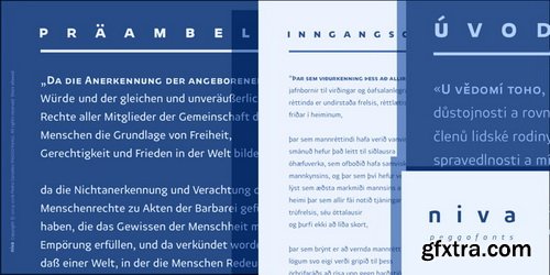 Niva Font Family $1044