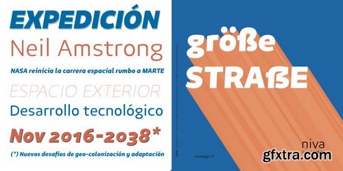 Niva Font Family $1044
