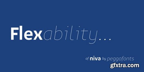 Niva Font Family $1044
