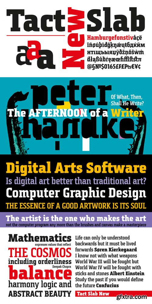 Tact Slab New Font Family $87 Tact Slab New Font Family $87