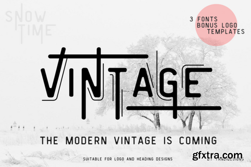 CM - 20 Resumes Bundles + BONUS 699745 CM - 20 Resumes Bundles + BONUS 699745