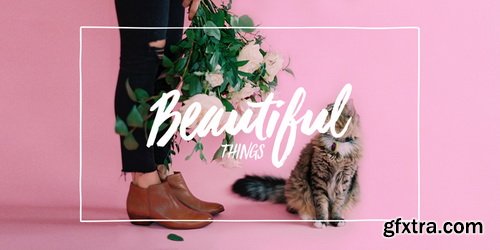 Viva Beautiful Font Family $102 Viva Beautiful Font Family $102