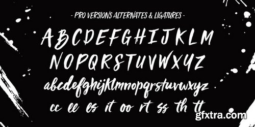 Viva Beautiful Font Family $102 Viva Beautiful Font Family $102