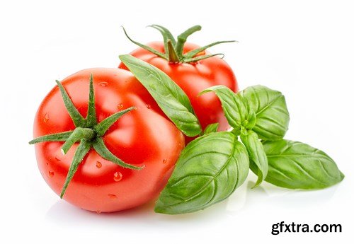 Tomatoes 3 - 22xUHQ JPEG