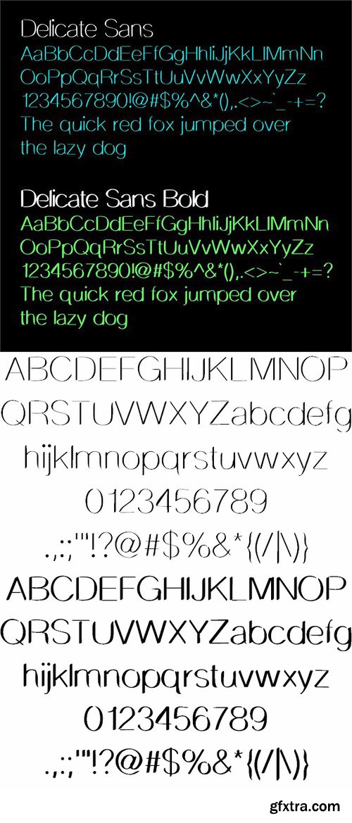 DelicateSans font