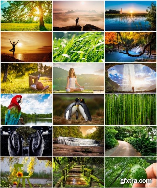 Collection of nature landscape forest waterfall sprout vacation trip 25 HQ Jpeg