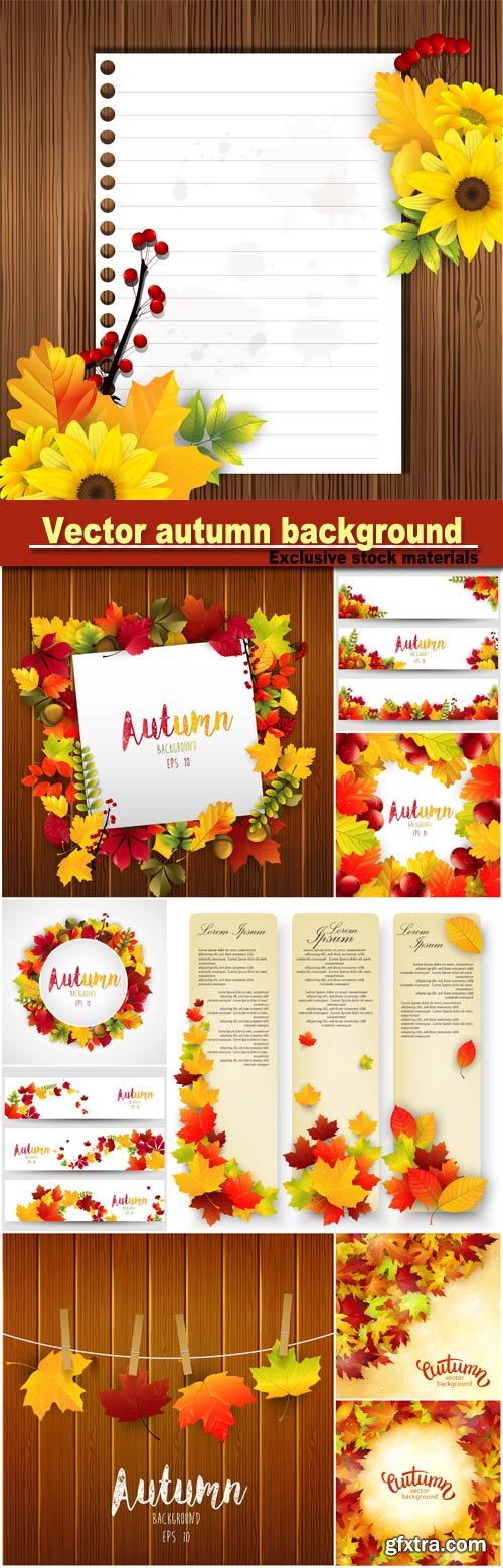Vector background with colorful autumn leaves, card template, natural background