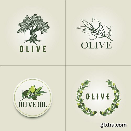 Olive Oil bottle and label design template 5X EPS