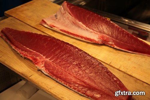Collection of tuna raw fish catch production of red meat 25 HQ Jpeg