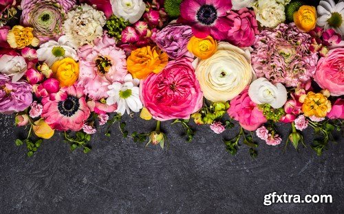 Flowers on Gray Background - 8 UHQ JPEG
