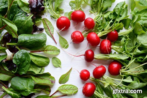 Fresh Salad - 27xUHQ JPEG Fresh Salad - 27xUHQ JPEG