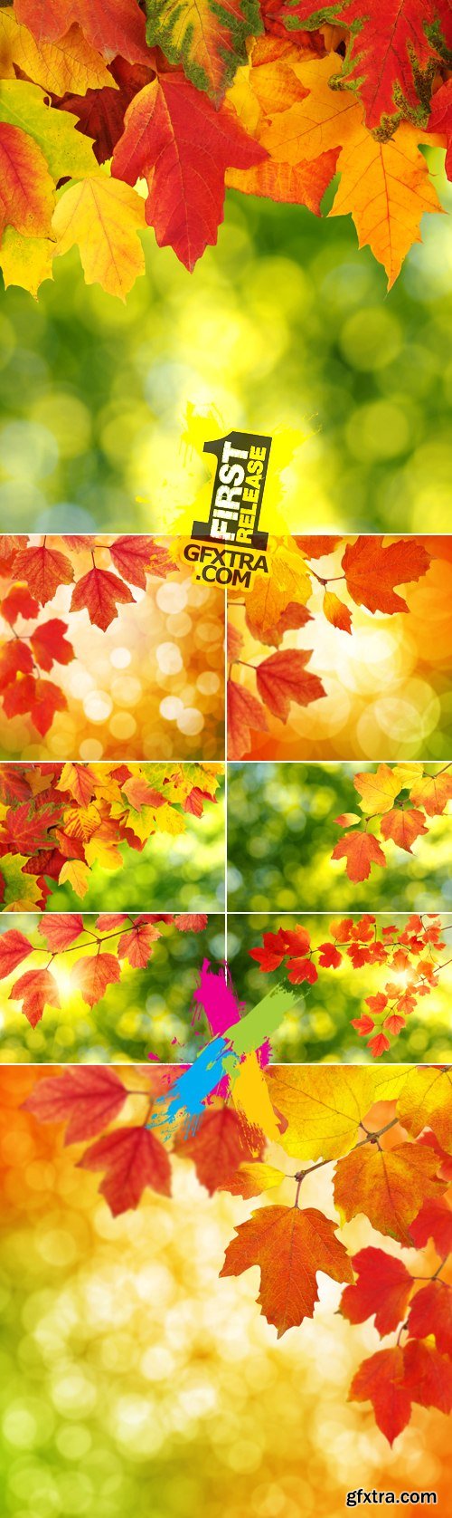 Stock Photo - Autumn Leaves 2