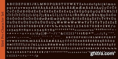Stint Font Family - 20 Fonts $99