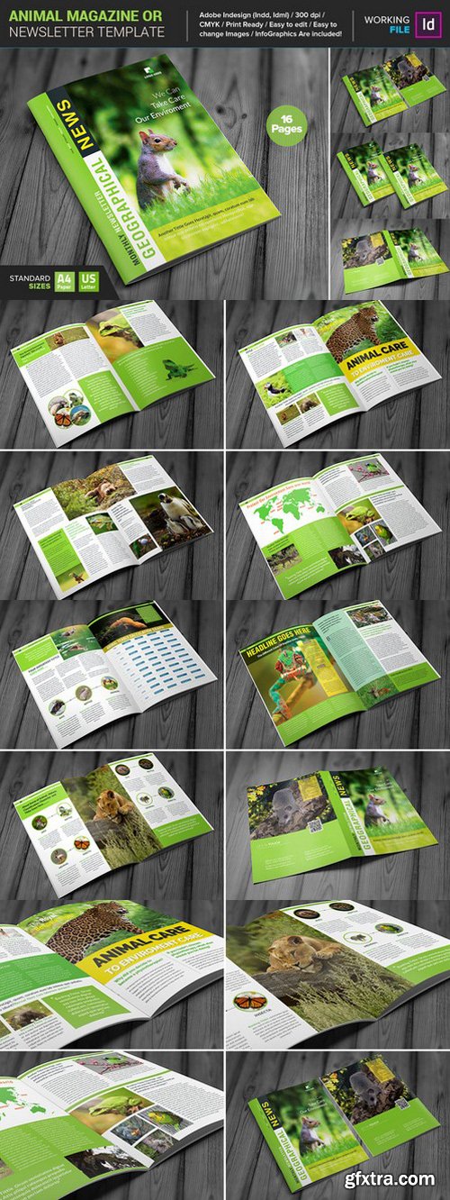 Animal Magazine/ Newsletter 837744