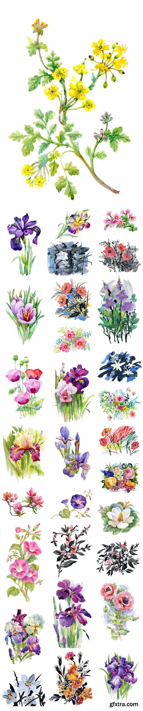 Vector Set - Watercolor Summer Garden Blooming Flowers Vector Set - Watercolor Summer Garden Blooming Flowers