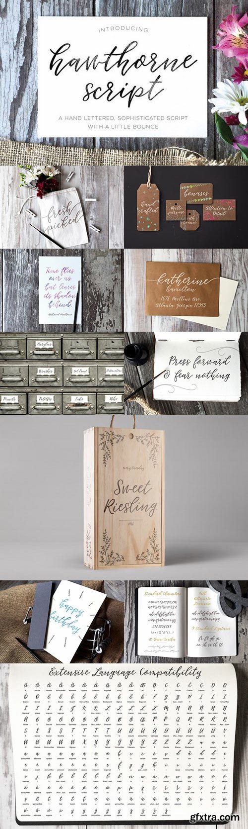 CM - Hawthorne Script 734337