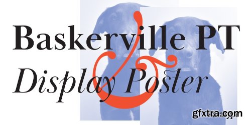 Baskerville Display PT Font Family 6 Fonts