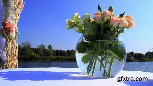 Roses in Vase - HD Video Footage